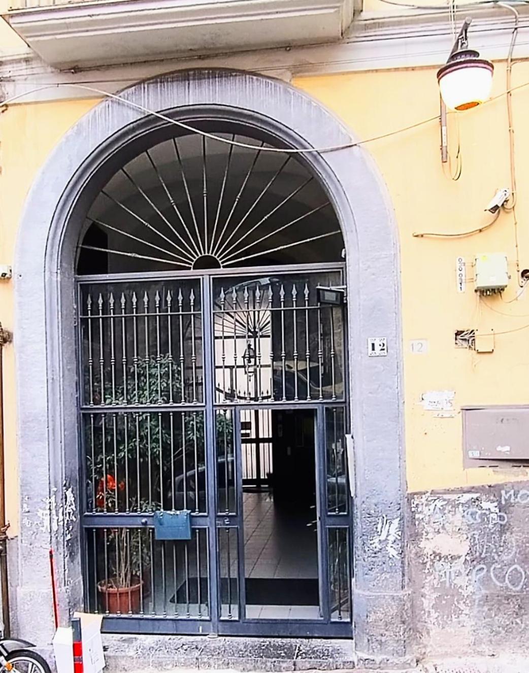 Belvedere Apartment